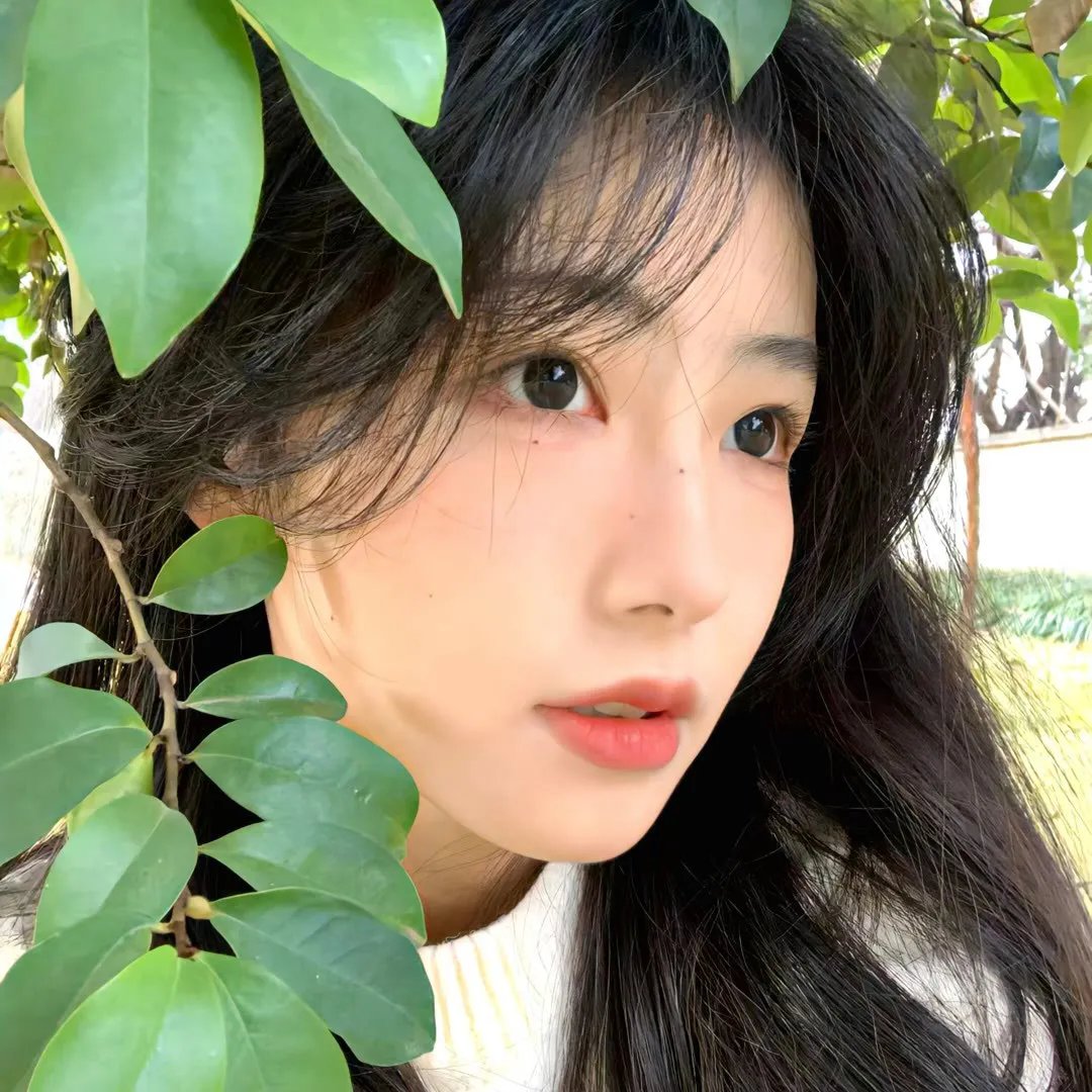彭科尔的秘密